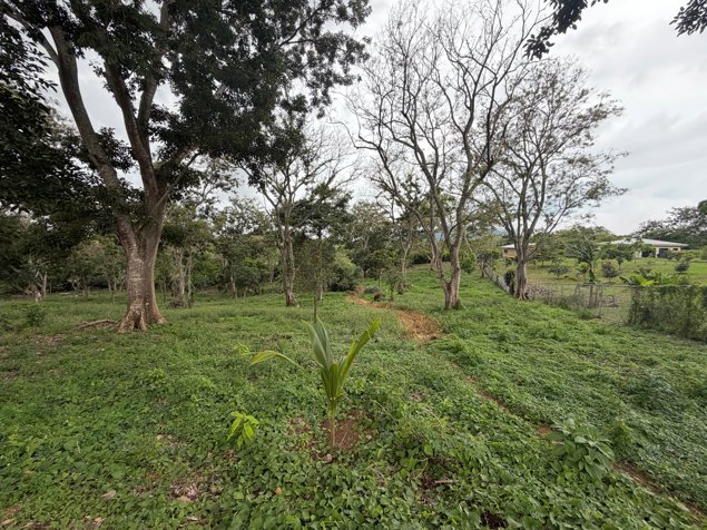 Se venden dos lotes contiguos en Atenas, en un entorno tipo parque in Atenas, Alajuela — $171,000 - Photo 2 of 11