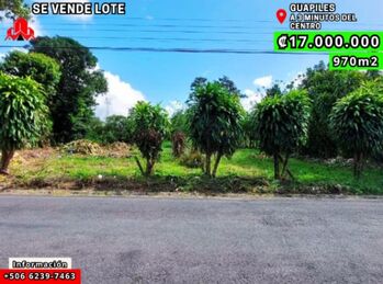 Land For Sale Guápiles, Pococí, Limón