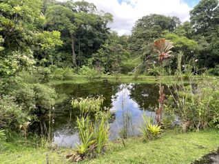 Propiedad de 26 hectareas con canopy tour, caballos, dos casas etc. in Arenal, Tilarán, Guanacaste — $1,590,000 - Photo 4 of 36