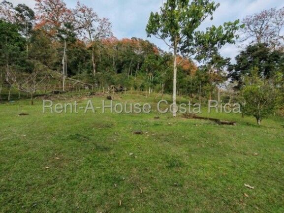 MLS-26-1444 KQ VENTA FINCA MURCIA TURRIALBA CONTACTENOS AL # 88987222 en Turrialba, Cartago — ₡ 700 000 000