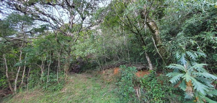 Un maravilloso terreno en la montaña in Tarbaca, Aserrí, San José — $147,000 - Photo 2 of 12