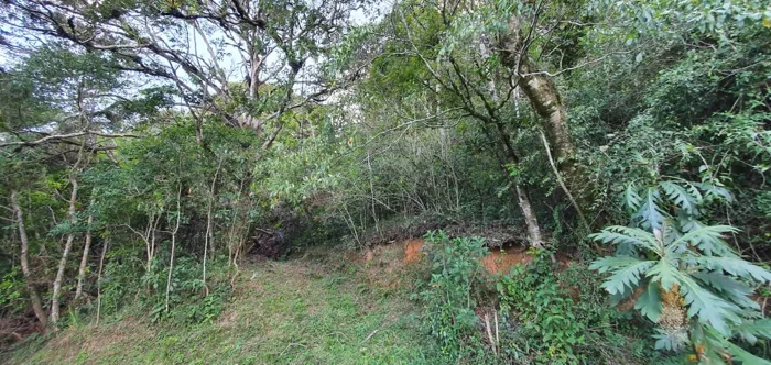 Un maravilloso terreno en la montaña en Tarbaca, Aserrí, San José — $147,000 - Foto 2 de 12