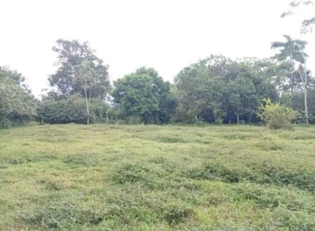 ¡Oportunidad Única! Bellísima Finca con Casa en Guápiles, Limón-Costa Rica. en Guápiles, Pococí, Limón — ₡ 58 000 000