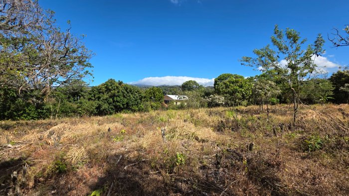 Land For Sale In Los Ángeles, Grecia Costa Rica – Flat Lot en San José, Grecia, Alajuela — ₡ 75 000 000 - Foto 2 de 7