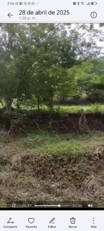DE OPORTUNIDAD 4 BELLOS LOTES EN MANZANILLO, PUNTARENAS.  en Manzanillo, Puntarenas — ₡ 3 000 000