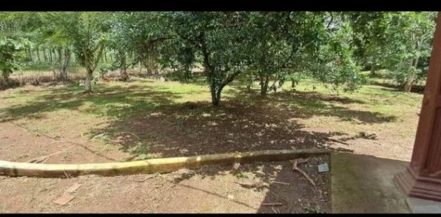 SE VENDE BELLÍSIMA QUINTA EN PÉREZ ZELEDÓN.  en Cajón, Pérez Zeledón, San José — ₡ 110 000 000