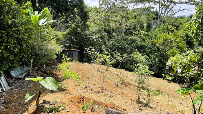 SE VENDE LOTE EN ZARAGOZA, PALMARES in Zaragoza, Palmares, Alajuela — $82,000 - Photo 3 of 10