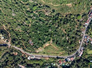 Oportunidad: Venta de Finca Cafetalera en Naranjo, Inversión Ideal en San Miguel, Naranjo, Alajuela — $1,700,000 - Foto 4 de 47