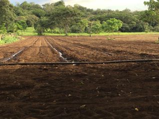 Propiedad Rincón de la Vieja en Curubandé, Liberia, Guanacaste — $1,200,000 - Foto 2 de 40