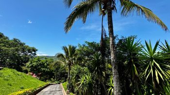 Exclusive property for sale with 4 houses in Ciudad Colón in Colón, Mora, San José — $1,400,000 - Photo 5 of 42