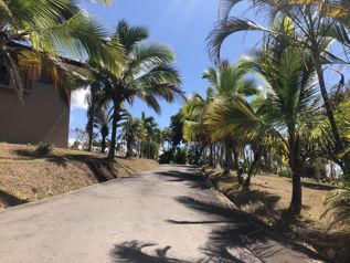 Se vende quinta rodeada de naturaleza en la tranquilidad de occidente in San Miguel, Naranjo, Alajuela — $503,700 - Photo 5 of 45