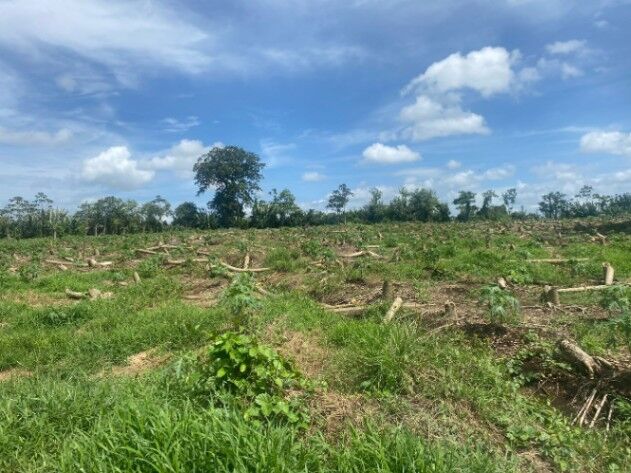 VENTA DE FINCA EN GUÁCIMO, LIMÓN in Guácimo, Limón — $390,000