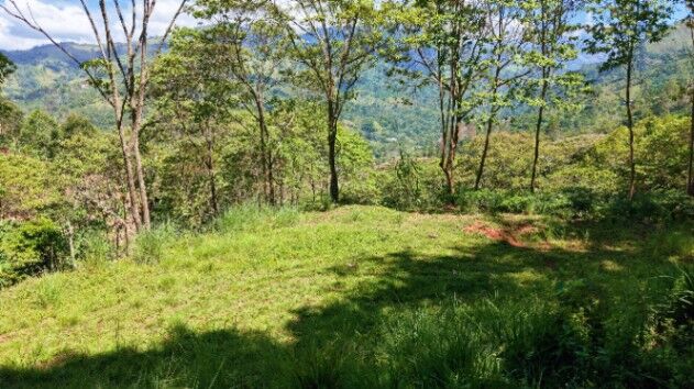 SE VENDE TERRENO CON CLIMA FRESCO Y PRIVACIDAD EN GUADALUPE DE RIVAS en Rivas, Pérez Zeledón, San José — $115,000