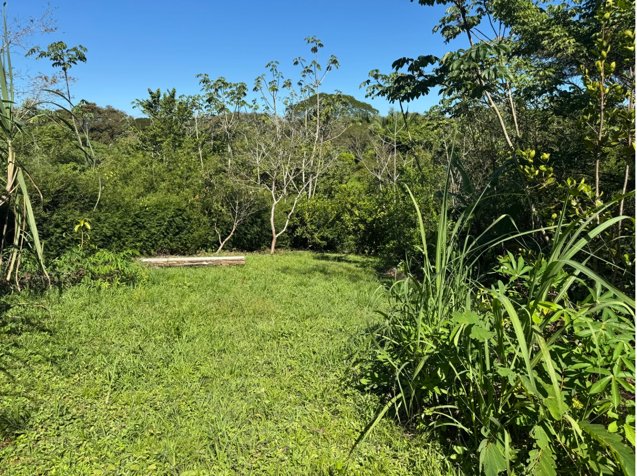 Lote con Pozo Artesiano en La Palmita – Cerca de Playa Hermosa in Cóbano, Puntarenas — $165,000