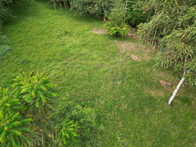 Propiedad de 5,000 m2 en Platanar de SanCarlos en La Fortuna, San Carlos, Alajuela — $100,000 - Foto 3 de 4