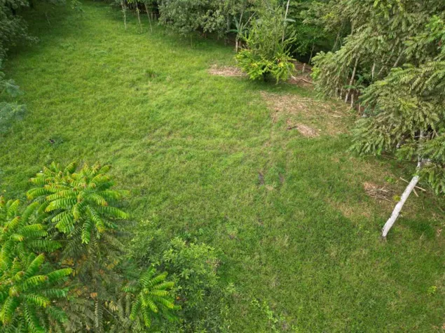 Propiedad de 5,000 m2 en Platanar de SanCarlos en La Fortuna, San Carlos, Alajuela — $100,000 - Foto 3 de 4