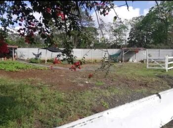 Land For Sale Curridabat, Curridabat, San José