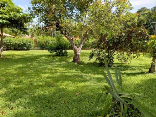 MLS-26-257 VENTA LOTE LA CEIBA OROTINA in La Ceiba, Orotina, Alajuela — ₡ 30 000 000