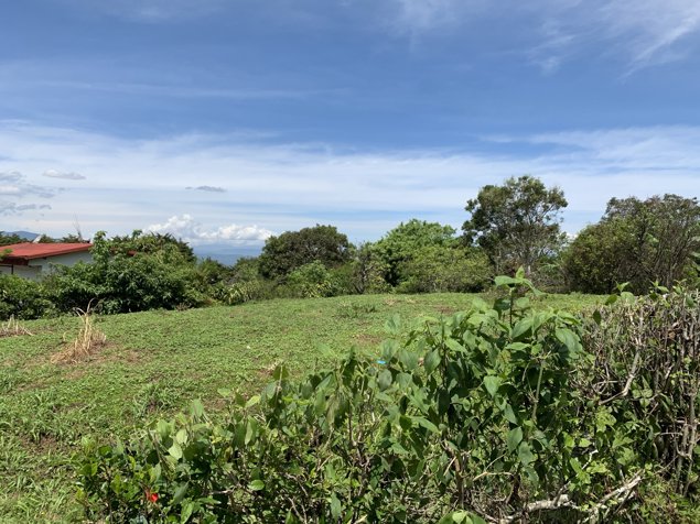 VENTA TERRENOS DE DESARROLLO O RESIDENCIAL, HEREDIA, BUENA VISTA in San Pablo, Barva, Heredia — $155,000