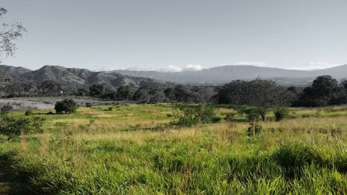 50,000m2 muy aprovechables con vistas 5 min. del centro in Atenas, Alajuela — $750,000 - Photo 2 of 10