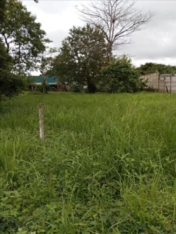 SE VENDE BELLA Y ÚTIL PROPIEDAD EN UPALA.  en Upala, Alajuela — ₡ 50 000 000