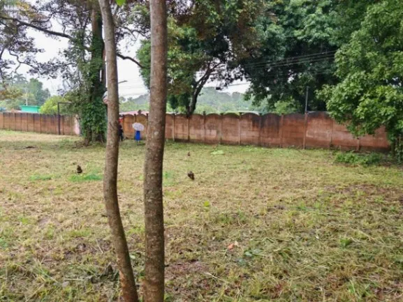MLS-26-1297 ALQUILER LOTE SAN MATEO ALAJUELA in San Mateo, Alajuela — $2,000 - Photo 3 of 9