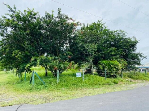 Propiedad a la venta en Guapiles en Guápiles, Pococí, Limón — ₡ 40 000 000