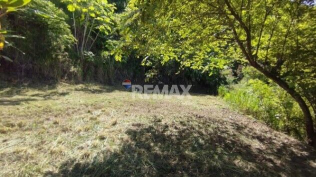 LOTE EN VENTA EN TAWAL, OSA – 5,029 m² CON USO MIXTO Y FRENTE A CARRETERA PRINCIPAL en Puerto Cortés, Osa, Puntarenas — $120,000