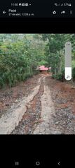 Quinta en venta con 4 cabañas y árboles frutales agua propia in San Pedro, Pérez Zeledón, San José — 95 000 000 ₡ - Photo 5 of 11