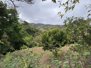 Lote en Piedades de Santa Ana. 3821 metros in Piedades, Santa Ana, San José — $325,000 - Photo 5 of 20