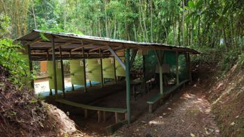 SE VENDE FINCA CON CAMPOS DE PRACTICA EN OPERACION E INGRESOS MENSUALES EN PEREZ ZELEDON en El General, Pérez Zeledón, San José — $250,000 - Foto 4 de 18