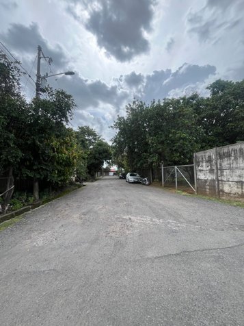 Terreno San Lorenzo en San Lorenzo, San Ramón, Alajuela — ₡ 60 000 000 - Foto 2 de 3