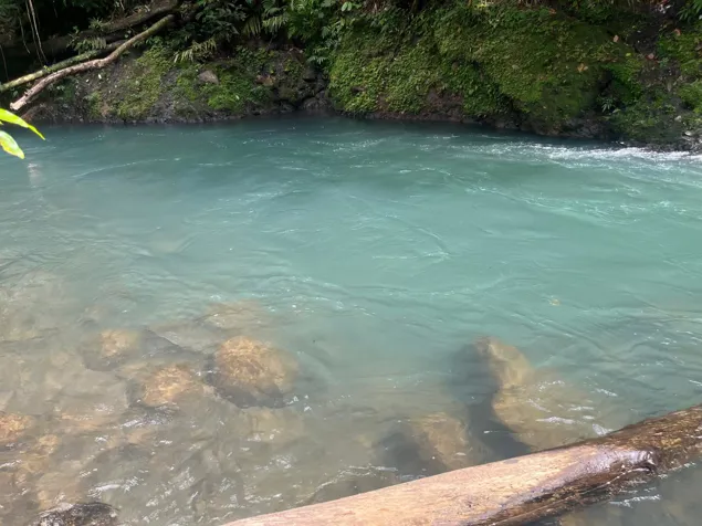 Río Celeste, Guatuso, Provincia de Alajuela, 21502, CRI en Buenavista, Guatuso, Alajuela — ₡ 264 000 000 - Foto 3 de 14