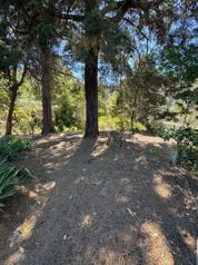 VENTA DE FINCA, CARTAGO, LA UNIÓN, RÍO AZUL en Río Azul, La Unión, Cartago — 116 000 000 ₡ - Foto 4 de 8