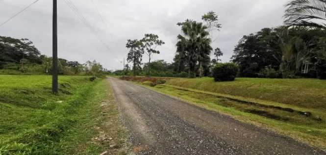 Venta | Quinta de 9.800 m² rodeada de naturaleza sobre Ruta 32 #27-81 GS en Guácimo, Limón — $96,000