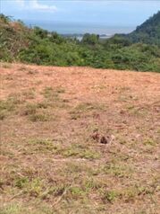 Lot with ocean view en Puerto Cortés, Osa, Puntarenas — 279 500 000 ₡ - Foto 4 de 4