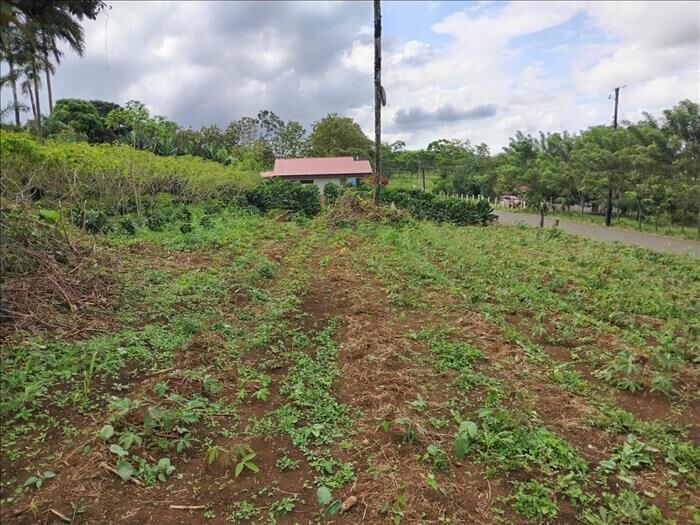 Lote en venta en San Carlos en Venecia, San Carlos, Alajuela — ₡ 1