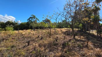 Land For Sale In Los Ángeles, Grecia Costa Rica – Flat Lot in San José, Grecia, Alajuela — 75 000 000 ₡ - Photo 5 of 7
