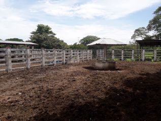 FINCA 670 HA GANADERA Y AGRICOLA EN LA IRMA en Las Juntas, Abangares, Guanacaste — $6,700,000 - Foto 3 de 20