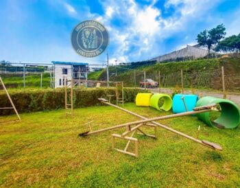 💚💚 Venta de amplio lote en condominio El Sauce en Mata de Plátano, San José 💚💚 en Mata de Plátano, Goicoechea, San José — 65 000 000 ₡ - Foto 5 de 12