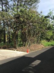 LOT ,LAND EAST SANTA ANA SALITRAL ST in Salitral, Santa Ana, San José — $707,520 - Photo 5 of 8