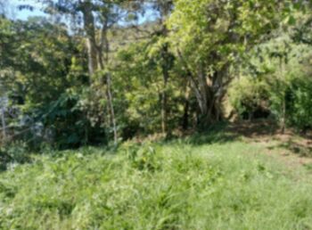 Land For Sale Zaragoza, Palmares, Alajuela