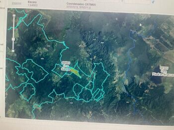 SE VENDE BELLA FINCA EN SIERPE DE OSA.  en Sierpe, Osa, Puntarenas — 70 000 000 ₡ - Foto 4 de 5