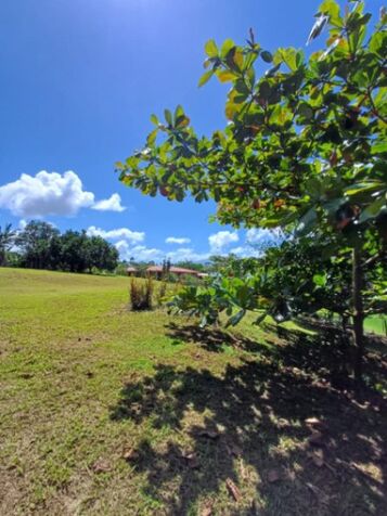 Venta ! Linto terreno cerca de Fortuna de San Carlos en Santa Isabel, Río Cuarto, Alajuela — ₡ 2 500 000