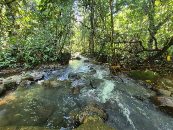 Finca hermosa con agua y plano en Quizarra, Perez Zeledon en Cajón, Pérez Zeledón, San José — $399,999