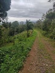 Farm For Sale San Lorenzo, San Ramón, Alajuela