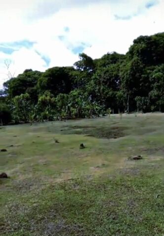 BELLÍSIMA PROPIEDAD TIPO QUINTA EN SARAPIQUÍ.  in Las Horquetas, Sarapiquí, Heredia — ₡ 32 500 000