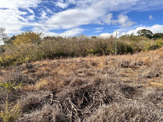 LOTE  SAN PABLO DE HEREDIA. LAS CRUCES en San Pablo, Heredia — ₡ 190 000 000