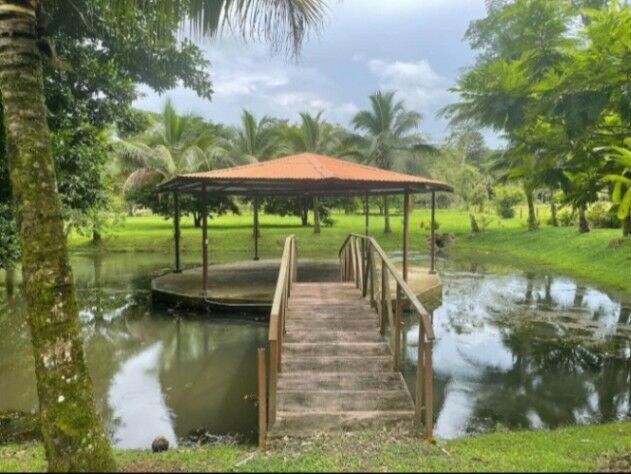 BELLÍSIMA QUINTA MUY CERCANA A LA FORTUNA.  in Peñas Blancas, San Ramón, Alajuela — ₡ 85 000 000