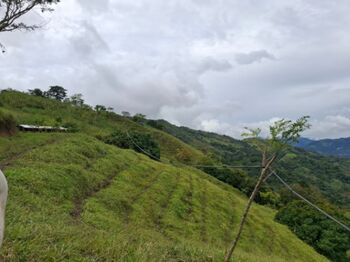 Finca agrícola  in Sabanillas, Acosta, San José — 75 ₡ - Photo 4 of 15